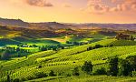 Benessere d'autunno nelle Langhe: relax tra vigneti e terme 